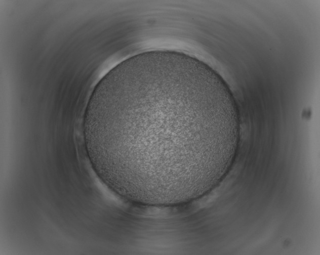 X0000094461521200711211529
