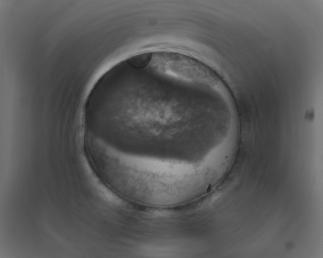 X0000094461522200711211529