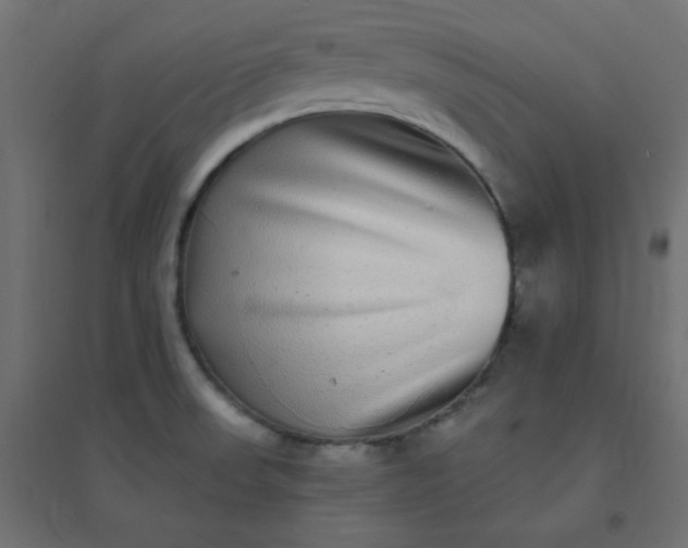 X0000094461523200711211529