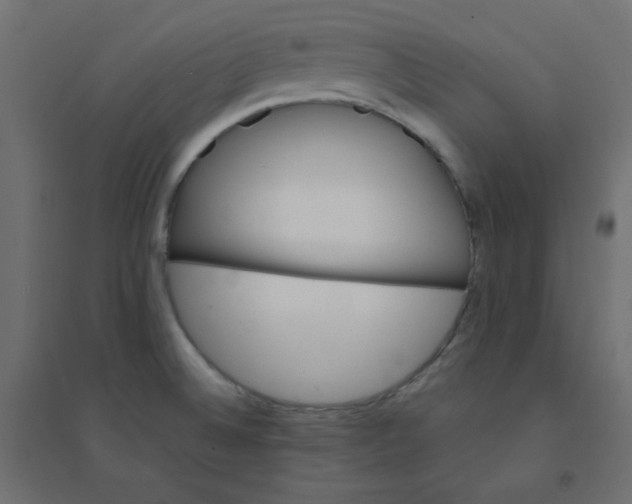 X0000094461524200711211529