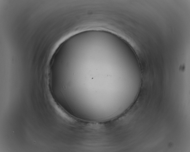 X0000094461526200711211529