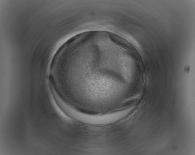 X0000094461528200711211529