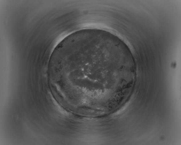 X0000094461529200711211529