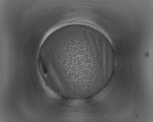X0000094461530200711211529