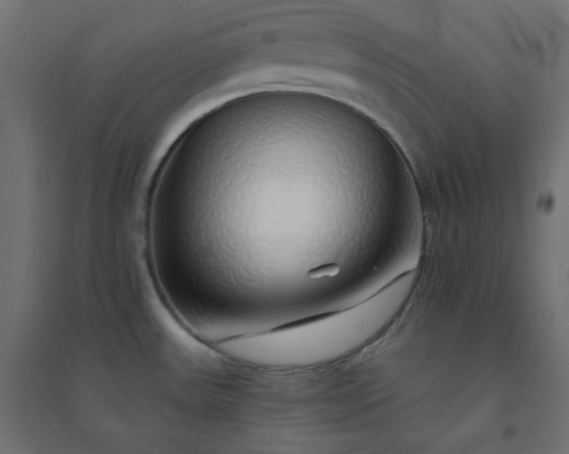 X0000094461531200711211529