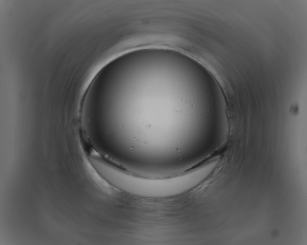 X0000094461532200711211529