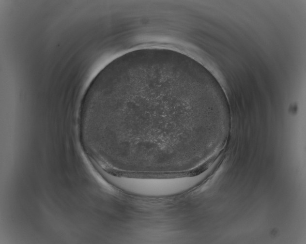 X0000094461533200711211529