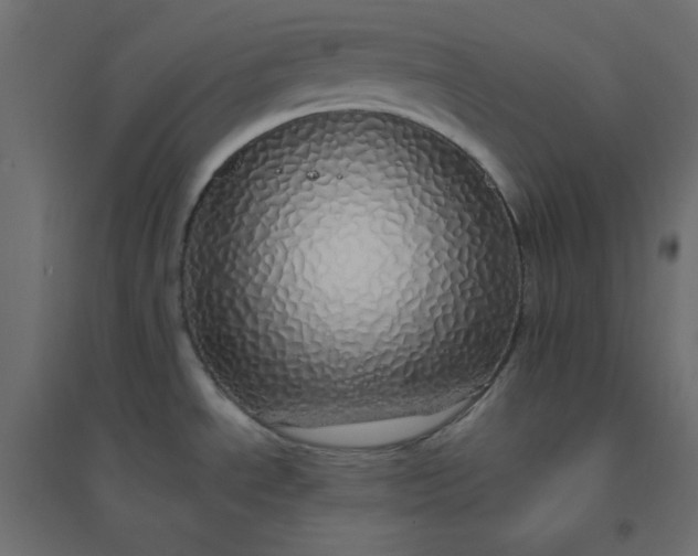 X0000094461534200711211529