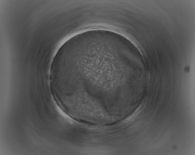 X0000094461535200711211529