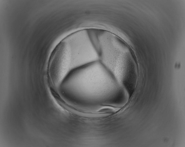 X0000094461536200711211529