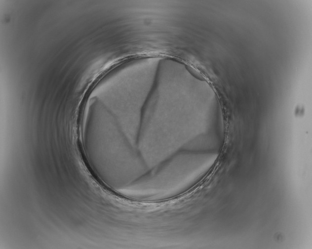 X0000094460002200711291732