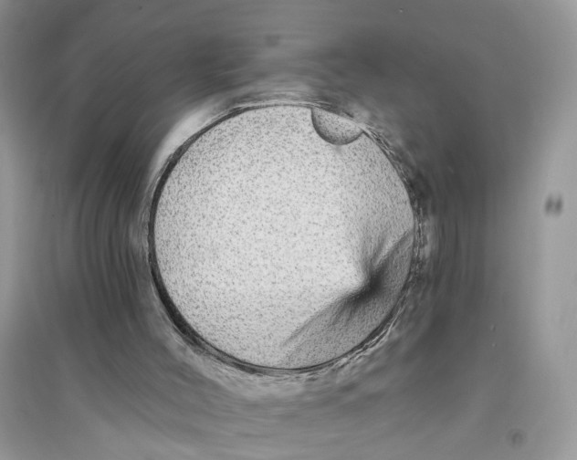 X0000094460004200711291732