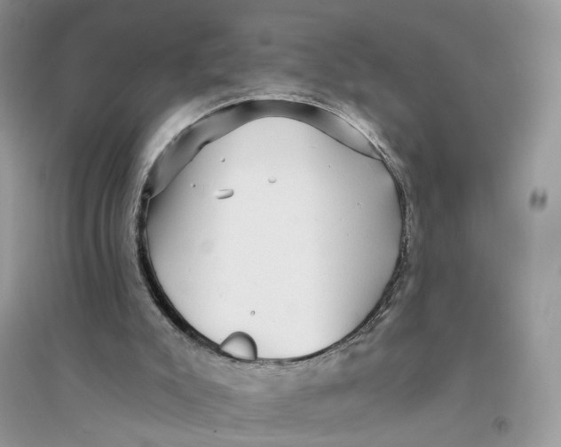 X0000094460007200711291732