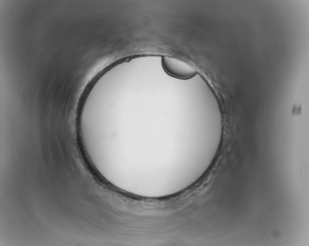 X0000094460008200711291732