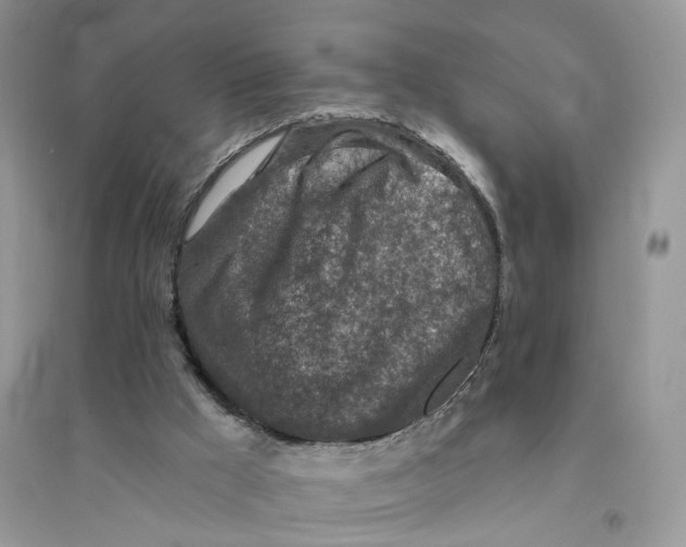 X0000094460009200711291732