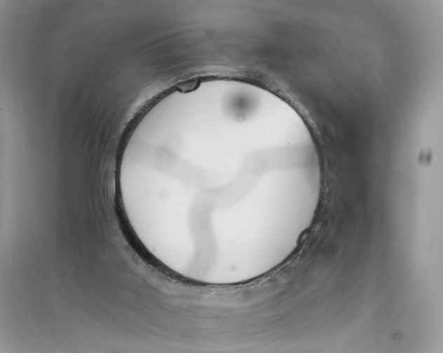 X0000094460011200711291732