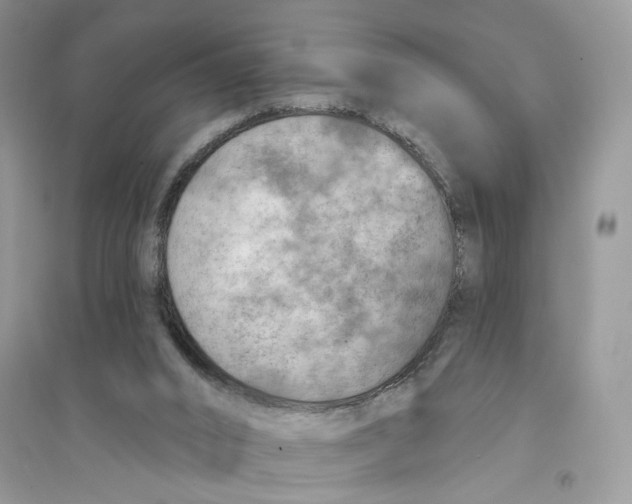 X0000094460016200711291732