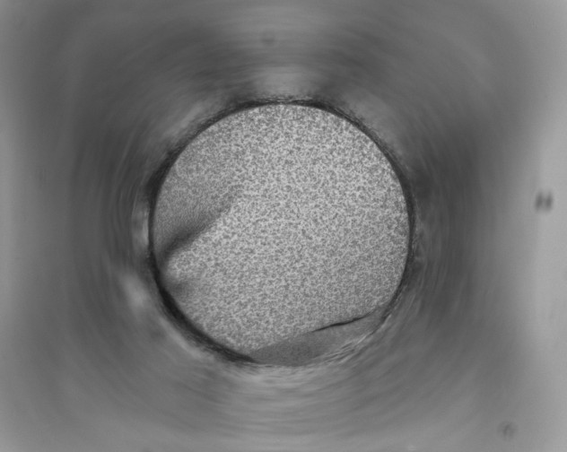 X0000094460021200711291732