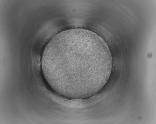 X0000094460024200711291732