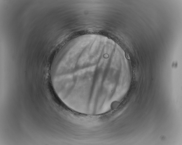 X0000094460032200711291732