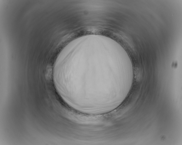 X0000094460036200711291732