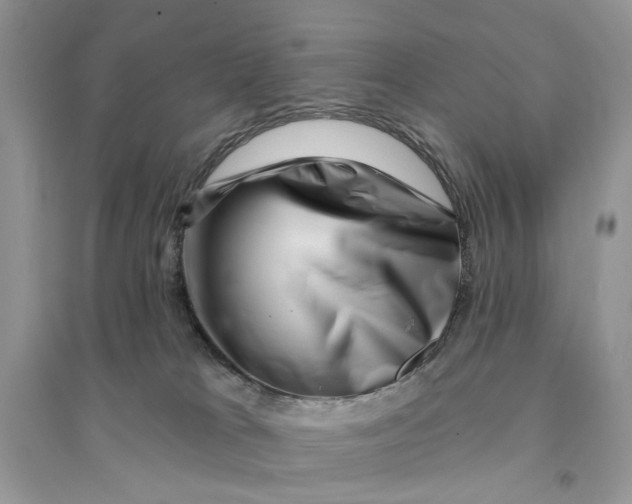 X0000094460037200711291732