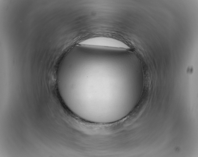 X0000094460040200711291732