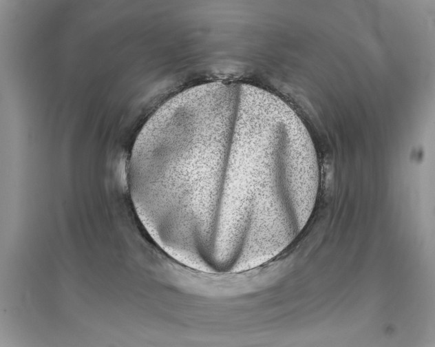 X0000094460042200711291732