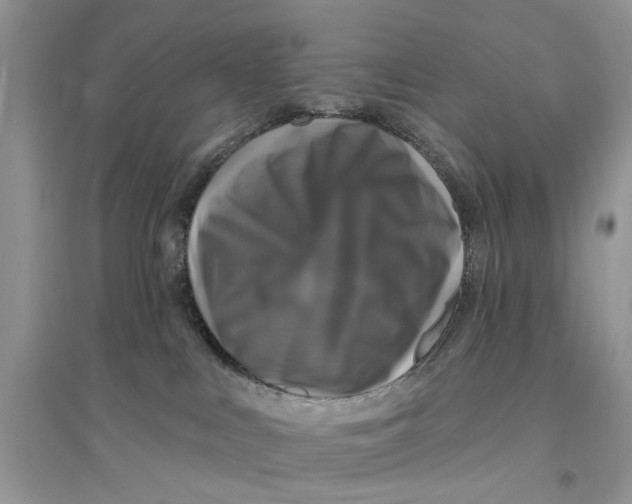 X0000094460043200711291732