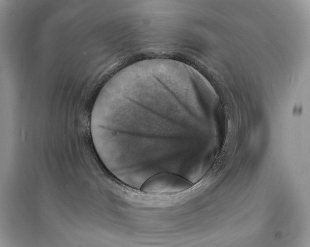 X0000094460048200711291732