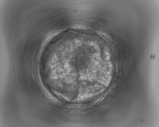 X0000094460049200711291731