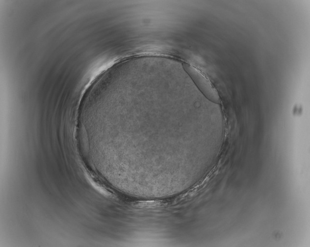 X0000094460050200711291731