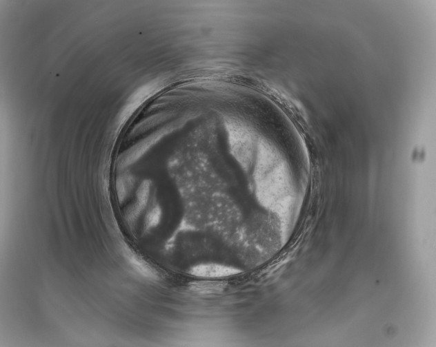 X0000094460051200711291731