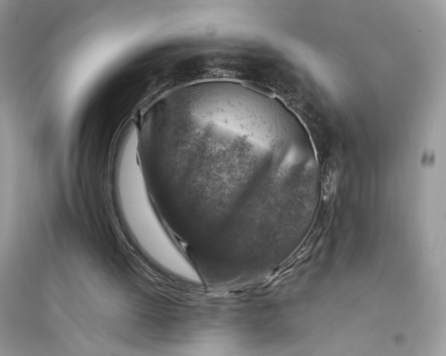 X0000094460052200711291731