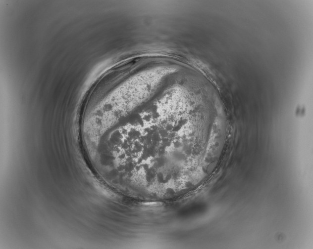 X0000094460053200711291731