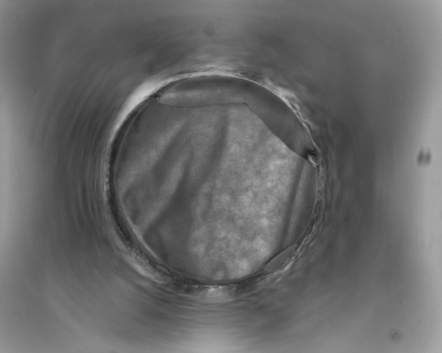 X0000094460056200711291731