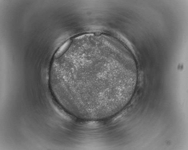 X0000094460059200711291731