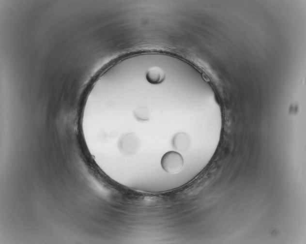 X0000094460060200711291731