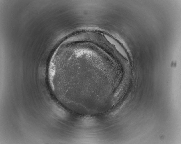 X0000094460063200711291731