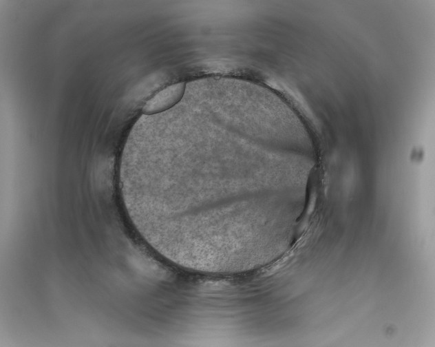 X0000094460066200711291731