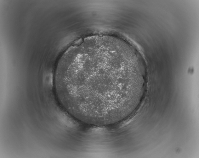 X0000094460067200711291731