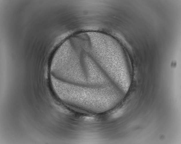 X0000094460068200711291731