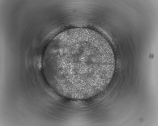 X0000094460069200711291731