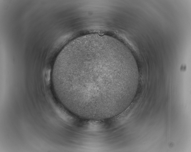 X0000094460070200711291731