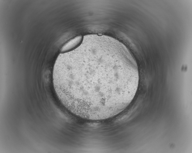 X0000094460071200711291731