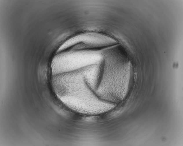 X0000094460072200711291731