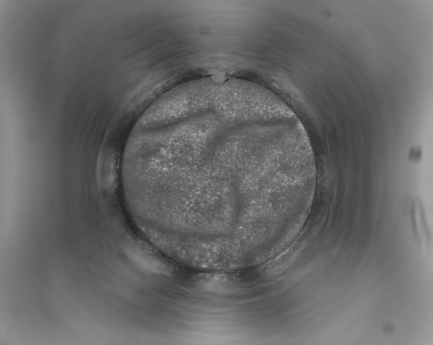 X0000094460074200711291731