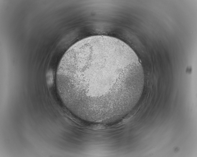 X0000094460075200711291731