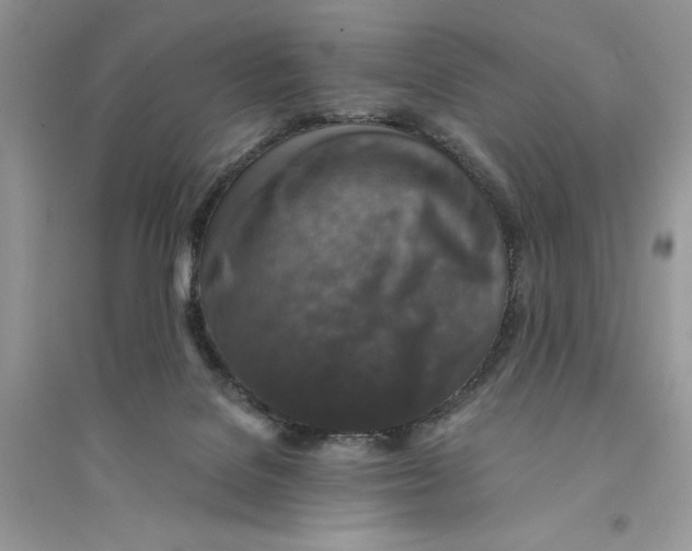 X0000094460076200711291731