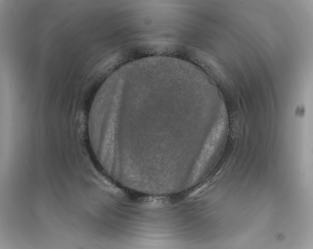 X0000094460077200711291731